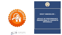 Défaut de DPE